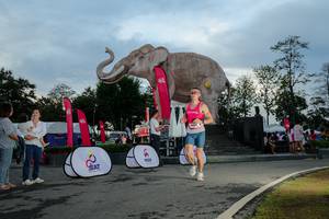 BIB: 
                            <button type="button" onclick="openModal(26529447)" class="btn btn-primary btn-sm float-right btn-popup" data-toggle="modal" data-target=".modal-high-quality">
                        <i class="fas fa-shopping-cart"></i> Add to Cart
                    </button>
                                            <button type="button" onclick="isThisMe(26529447, true)" class="btn btn-success btn-sm float-right btn-popup btn-isme hidden" data-toggle="tooltip" data-placement="bottom" title="นี่คือรูปของคุณใช่ไหม คลิกที่นี่เพื่อเอาเข้าอัลบั้ม">
                        <i class="fas fa-plus"></i> Add to album
                    </button>
                    <button type="button" onclick="isThisMe(26529447, false)" class="btn btn-warning btn-sm float-right btn-popup btn-isnotme hidden">
                        <i class="fas fa-ban"></i> Remove from album
                    </button>